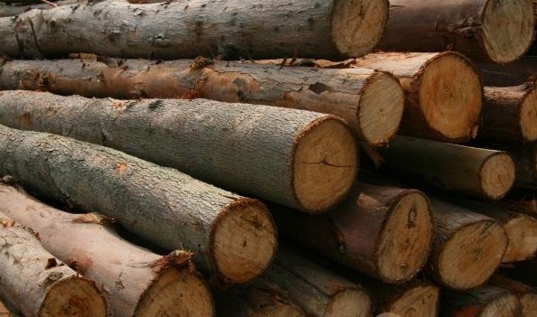 建筑材料木材廠家 建筑材料木材廠家